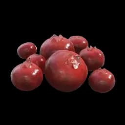 Bayas rojas