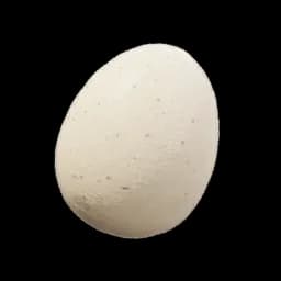 Egg