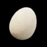 Egg item