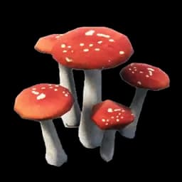 キノコ
