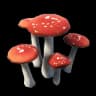 Mushroom item