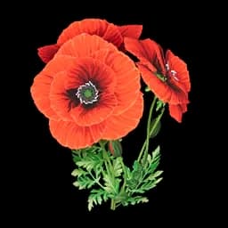 Oggetto Fiore meraviglioso