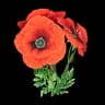 Beautiful Flower item