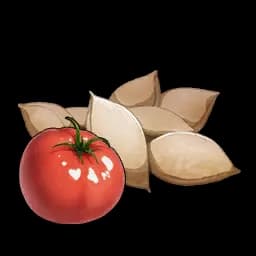 トマトの種