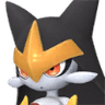 Flaracle