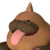 Polapup Terra