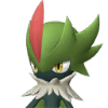 Robinquill