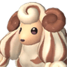 Woolipop Terra