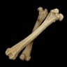 Bone item