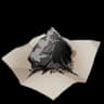 Gunpowder item