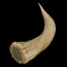 Horn item