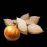 Onion Seeds item