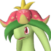Dinossom